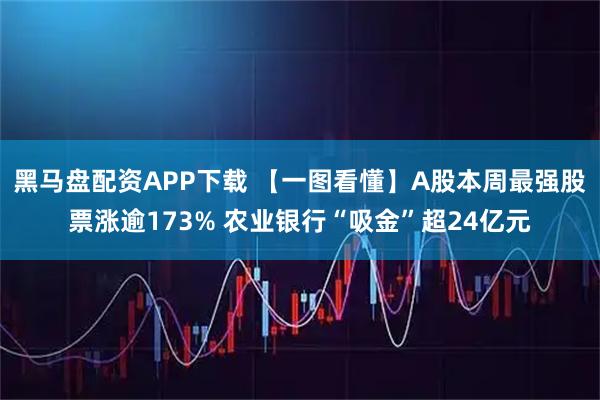 黑马盘配资APP下载 【一图看懂】A股本周最强股票涨逾173% 农业银行“吸金”超24亿元